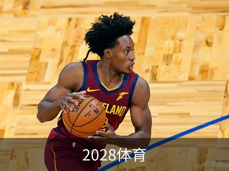 2028体育概况
